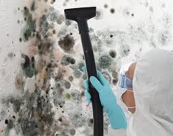 Best Forensic Mold Investigation  in Cary, IL